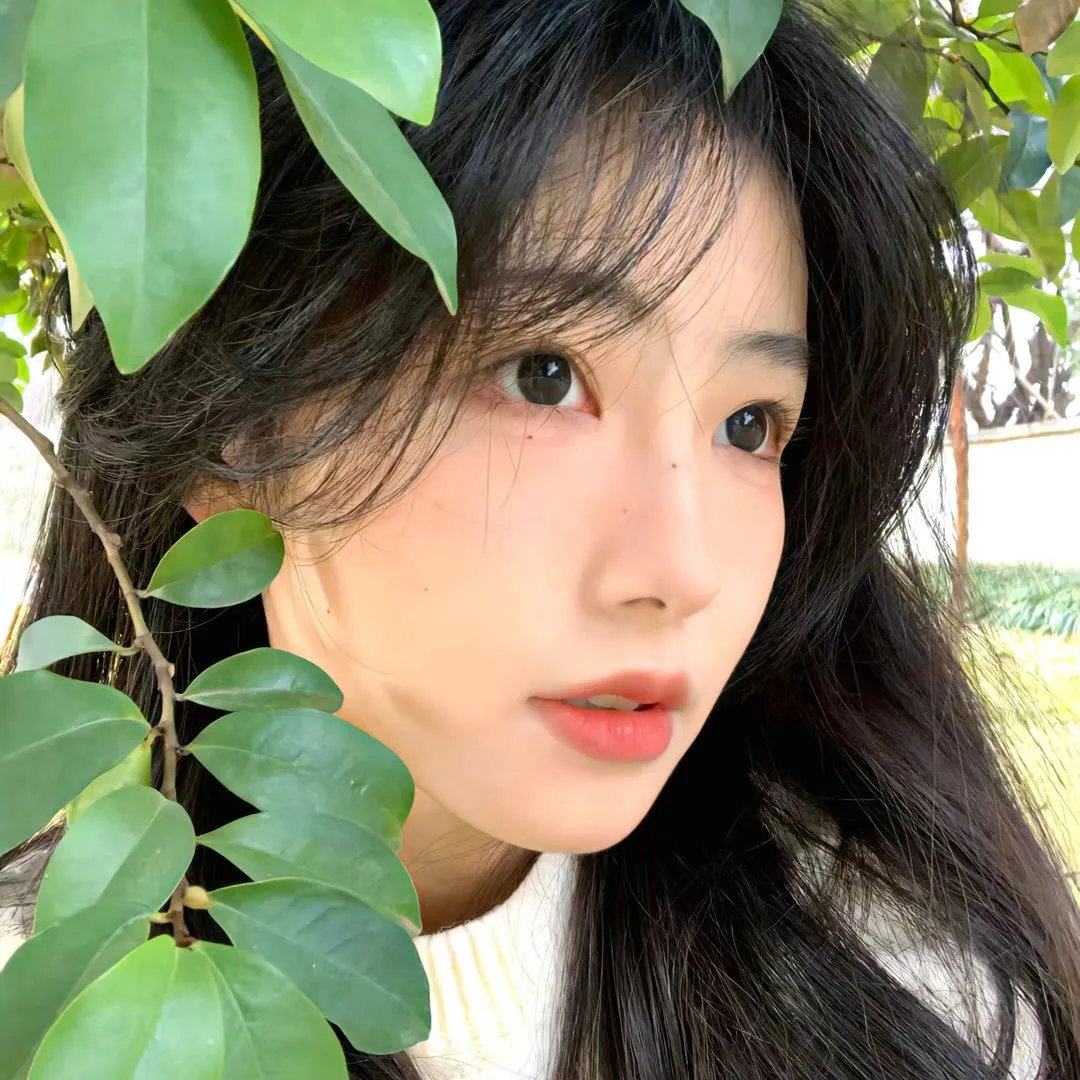 欲望都市第二季