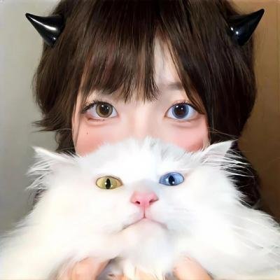 全世界都不如你